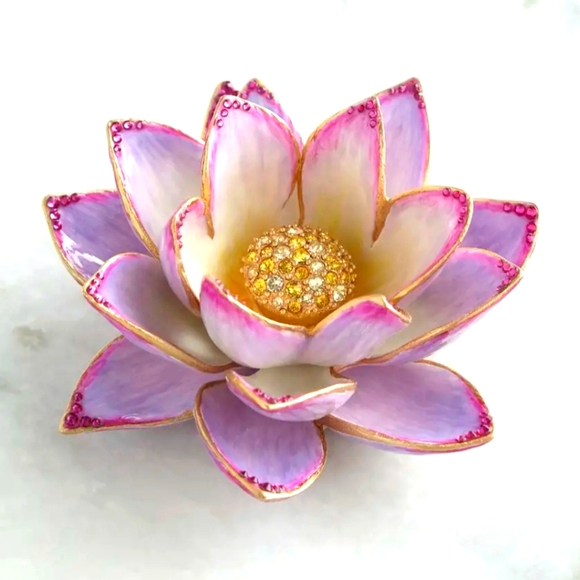 Jay - Picture 2 of 7